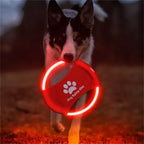 LED Glowing Rechargeable Disc
