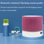 Mini Portable Subwoofer Speaker