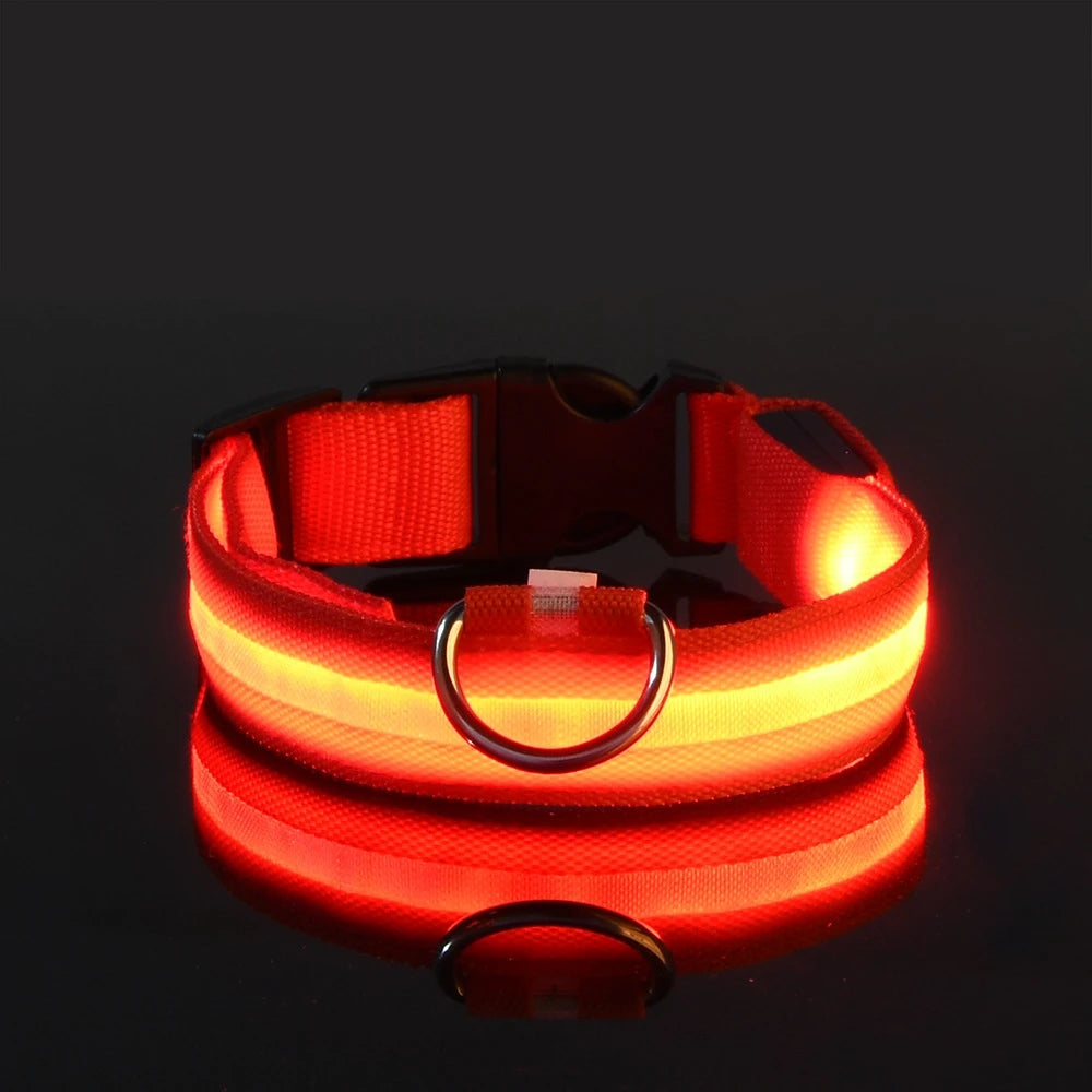LED Night Safety Flashing Glow Collar