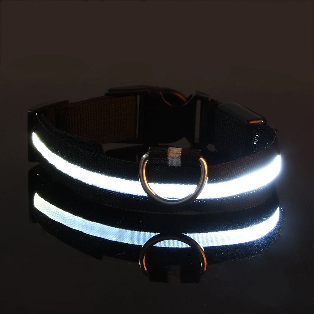 LED Night Safety Flashing Glow Collar