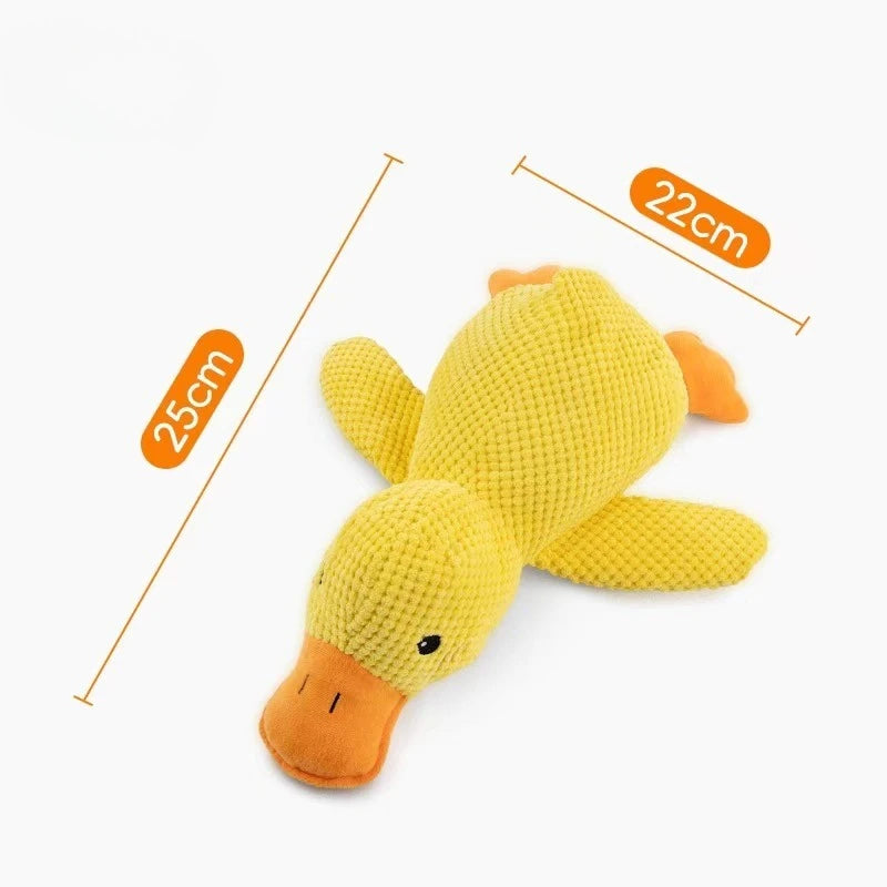 Pet Toys