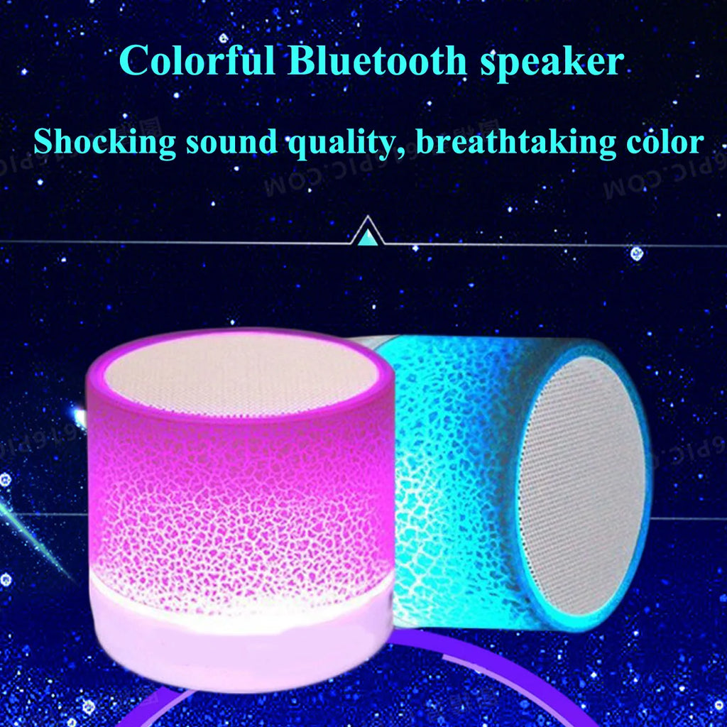 Mini Portable Subwoofer Speaker