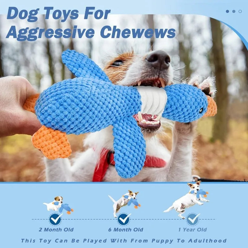 Pet Toys