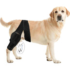 Dog Knee Brace