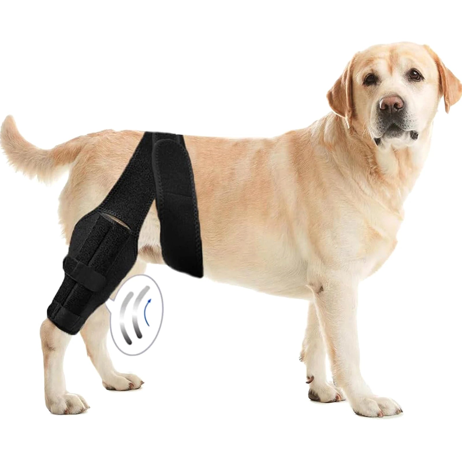 Dog Knee Brace