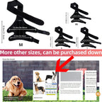 Dog Knee Brace