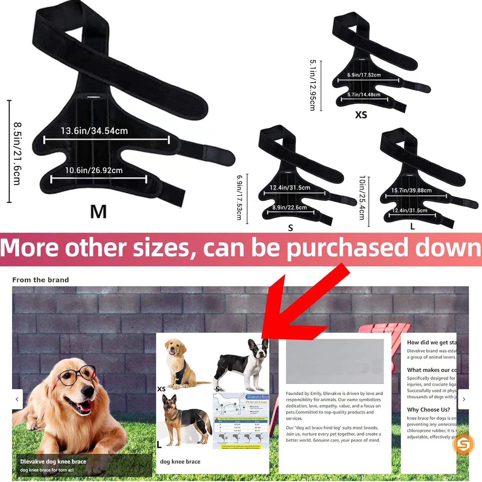 Dog Knee Brace