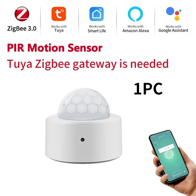 Motion Sensor & Light Detector