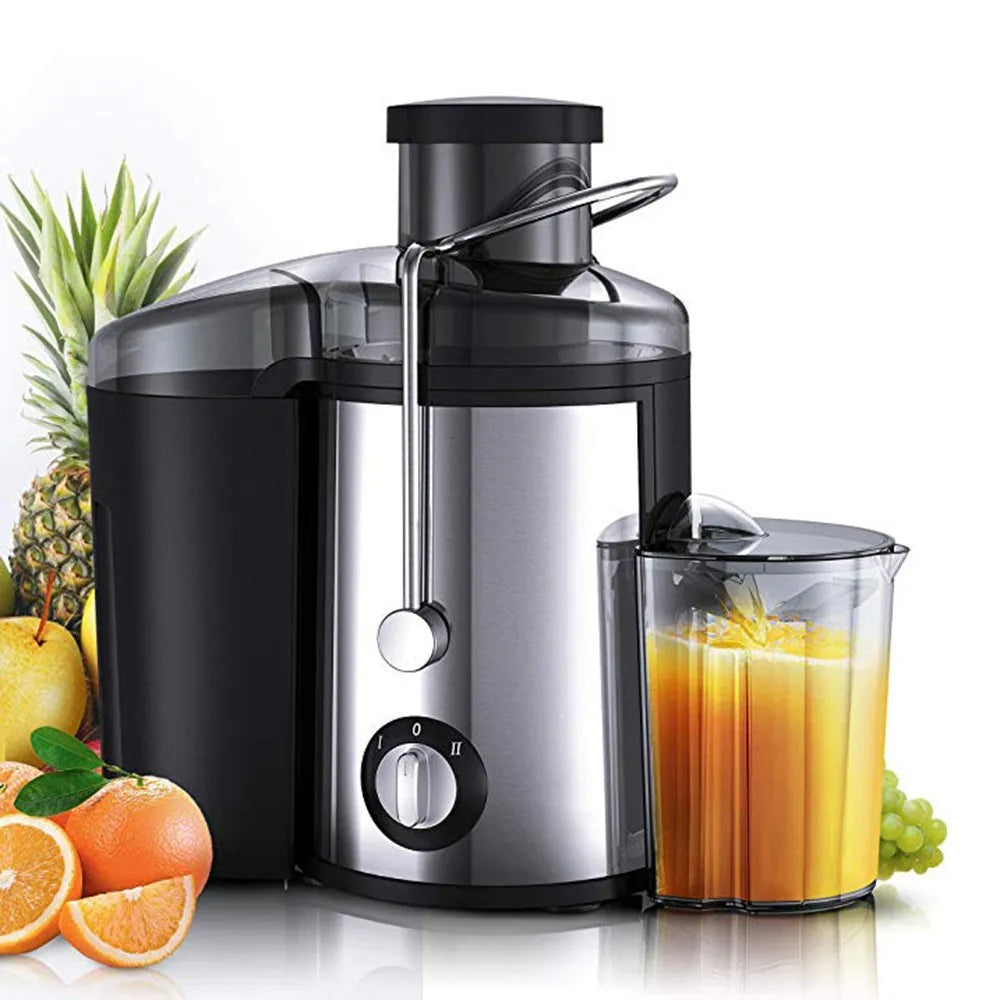 Fruit Juicer