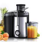 Fruit Juicer