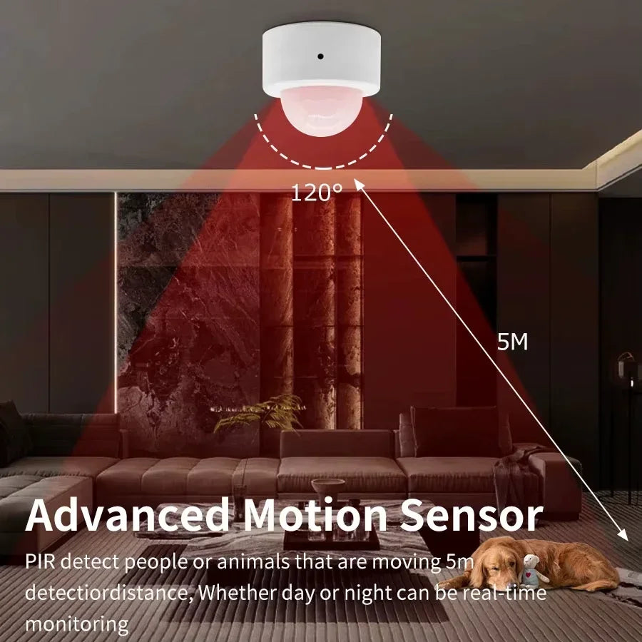 Motion Sensor & Light Detector