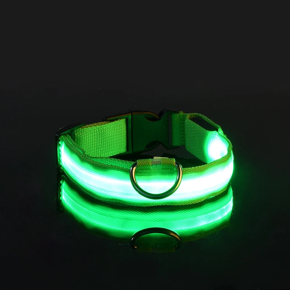 LED Night Safety Flashing Glow Collar