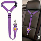 Dog Seat Belt