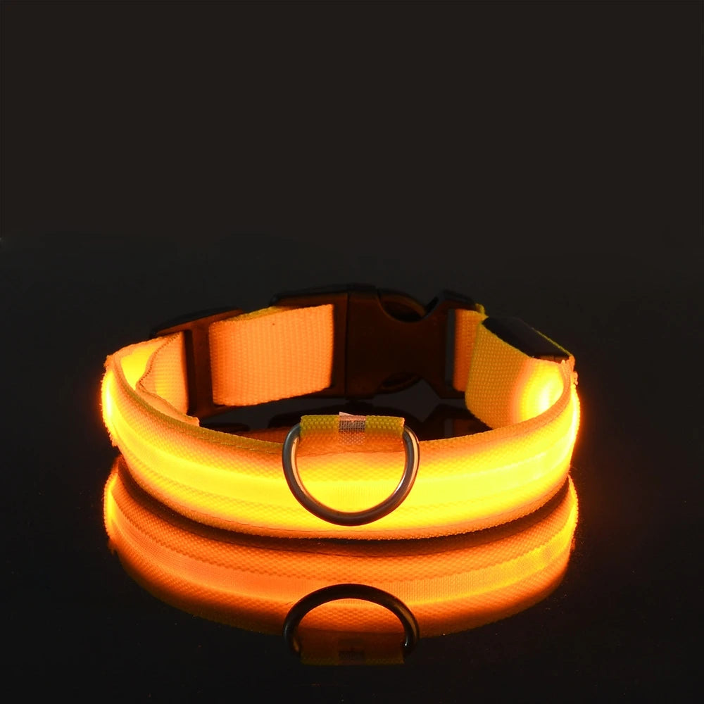 LED Night Safety Flashing Glow Collar