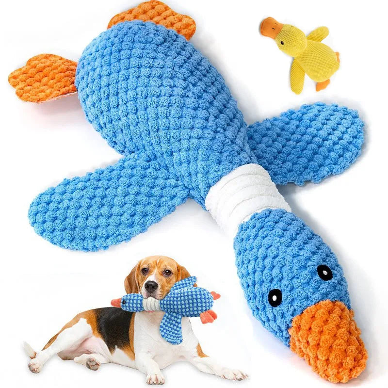 Pet Toys
