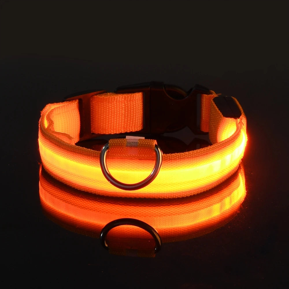 LED Night Safety Flashing Glow Collar