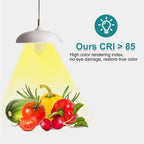 Radar Detection LED Light Bulb
