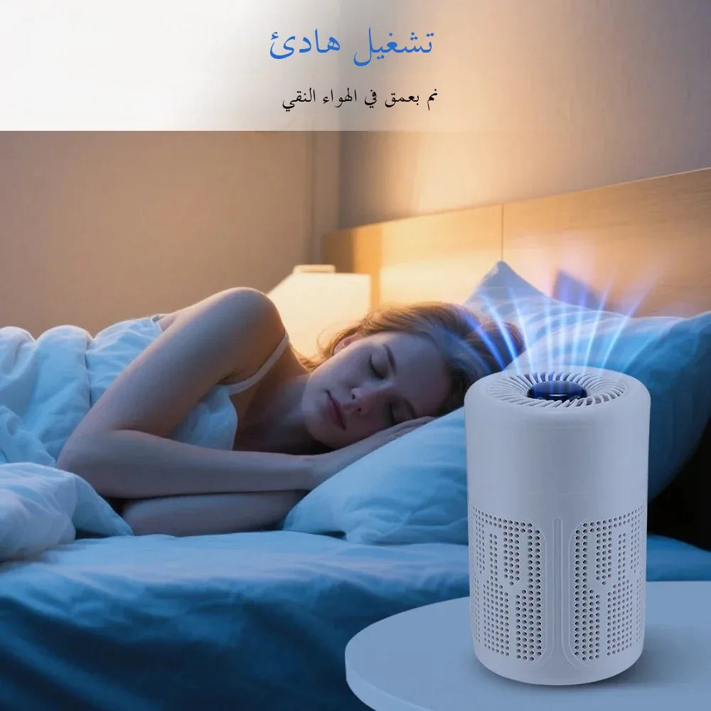 Air Purifier Smoke Odor