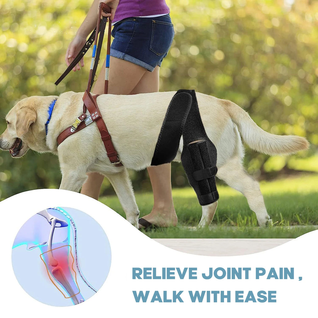 Dog Knee Brace