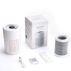 Air Purifier Smoke Odor