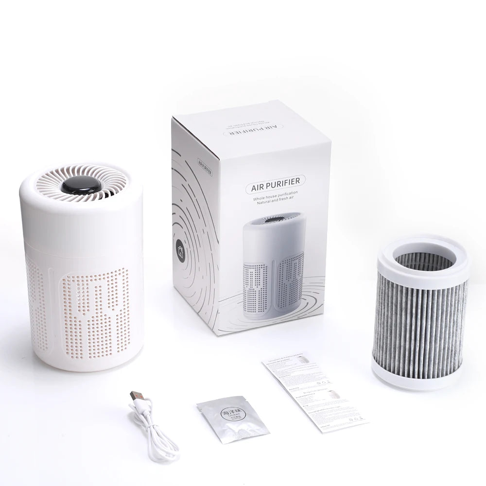 Air Purifier Smoke Odor