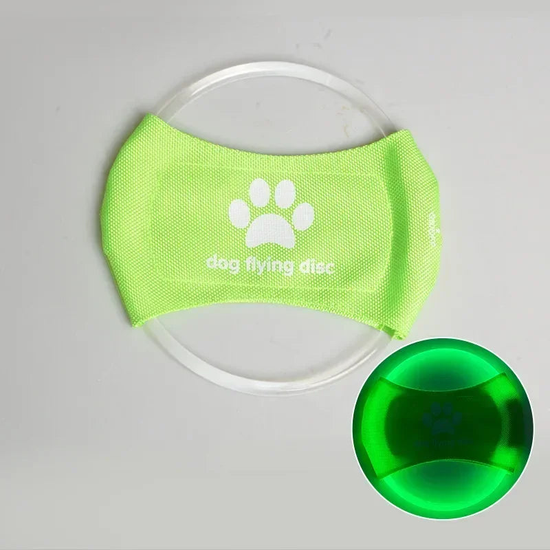 LED Glowing Rechargeable Disc