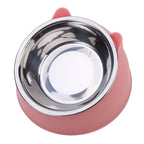 Pet Feeding Bowl