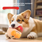 Dog Toys Interactive Puzzle