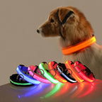LED Night Safety Flashing Glow Collar