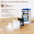 Air Purifier