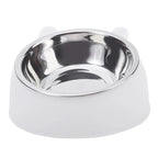 Pet Feeding Bowl