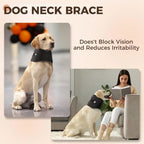 Anti-licking Pet Neck Brace