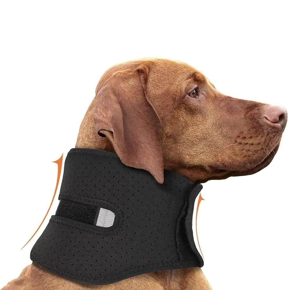 Anti-licking Pet Neck Brace