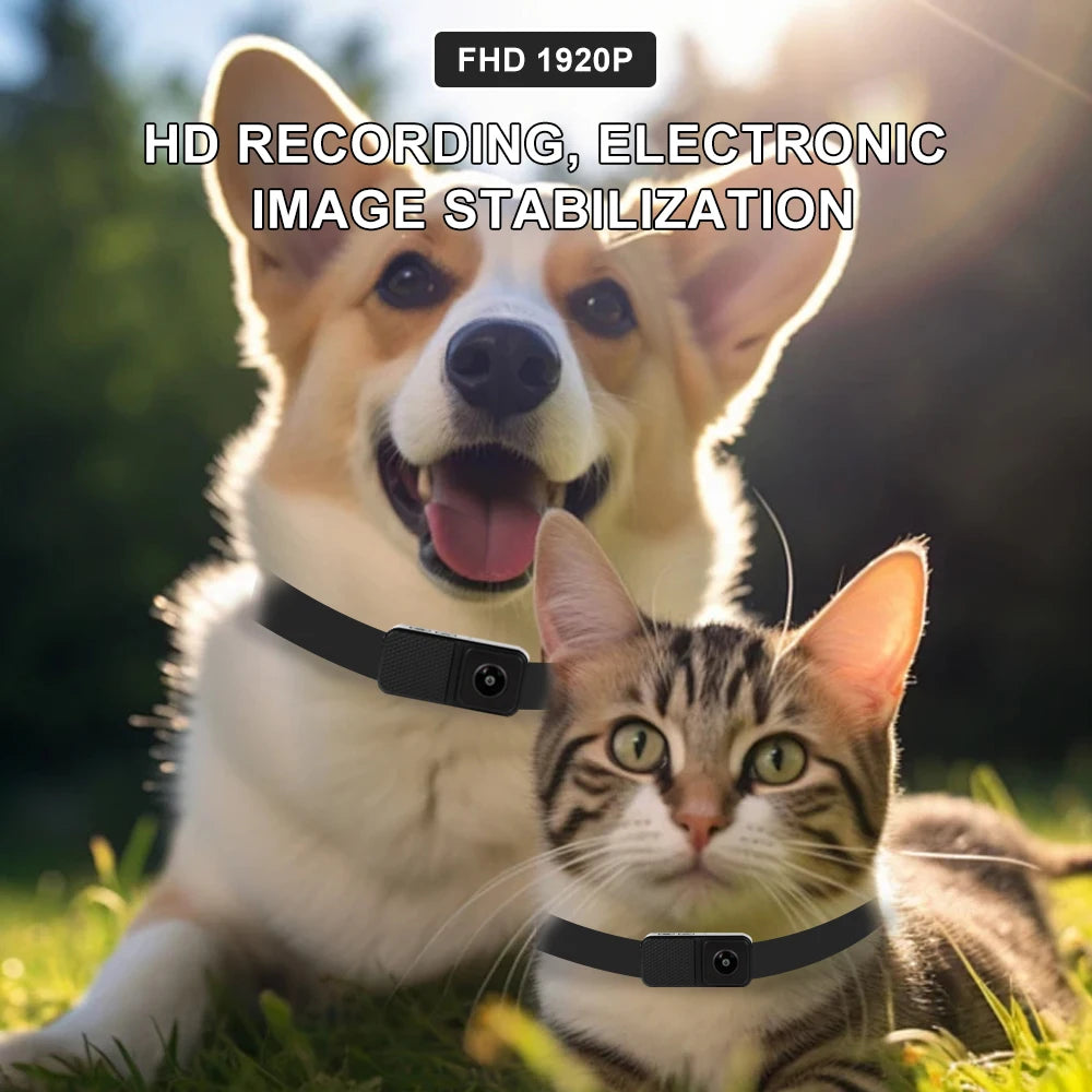 HD 1080P Pet Cameras