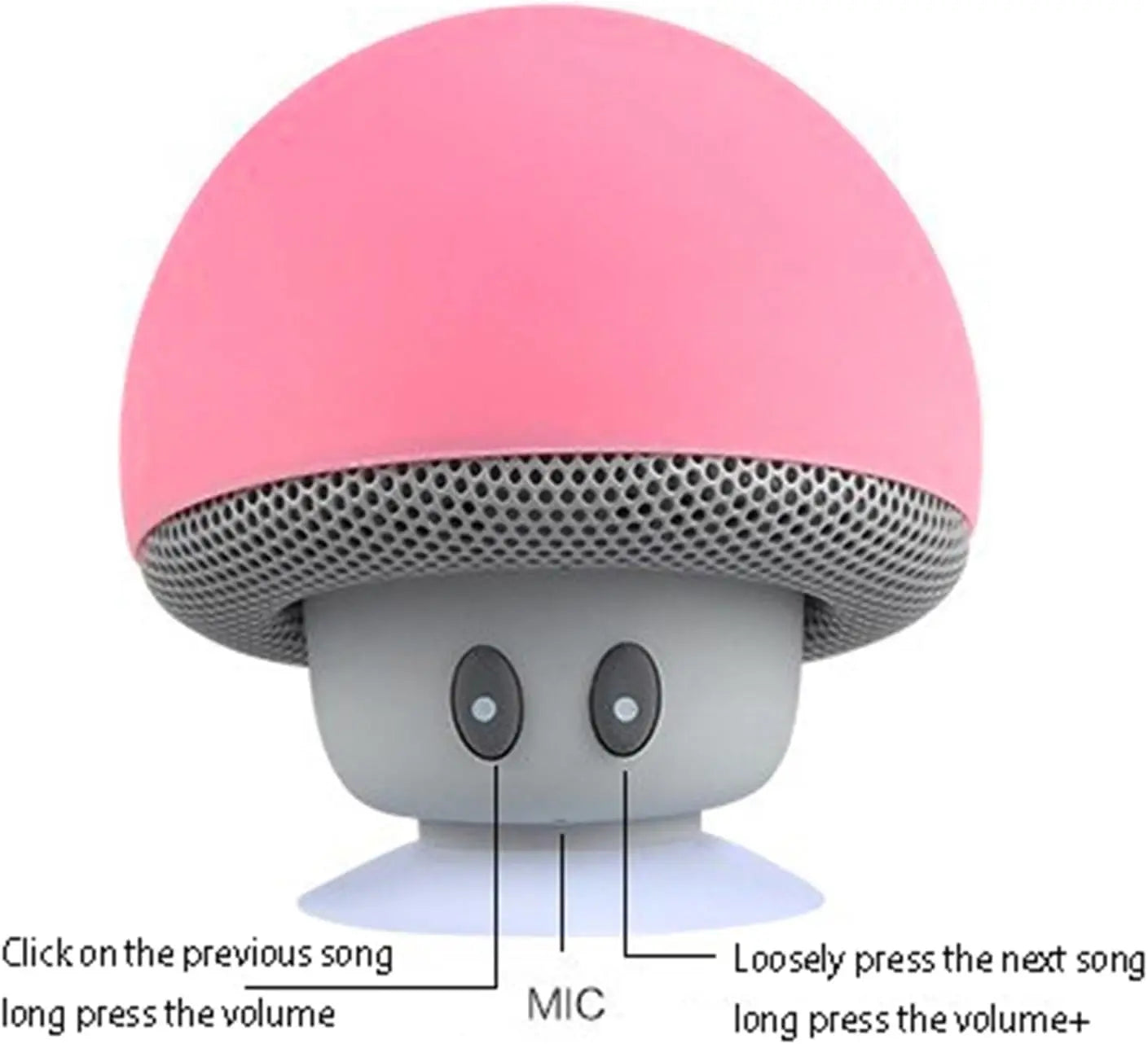 Bluetooth Speaker