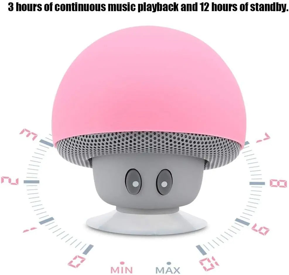 Bluetooth Speaker