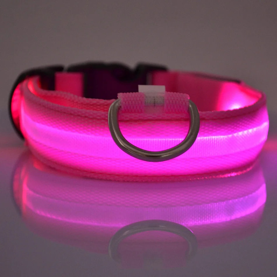 LED Night Safety Flashing Glow Collar