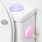 Aromatherapy Fragrance