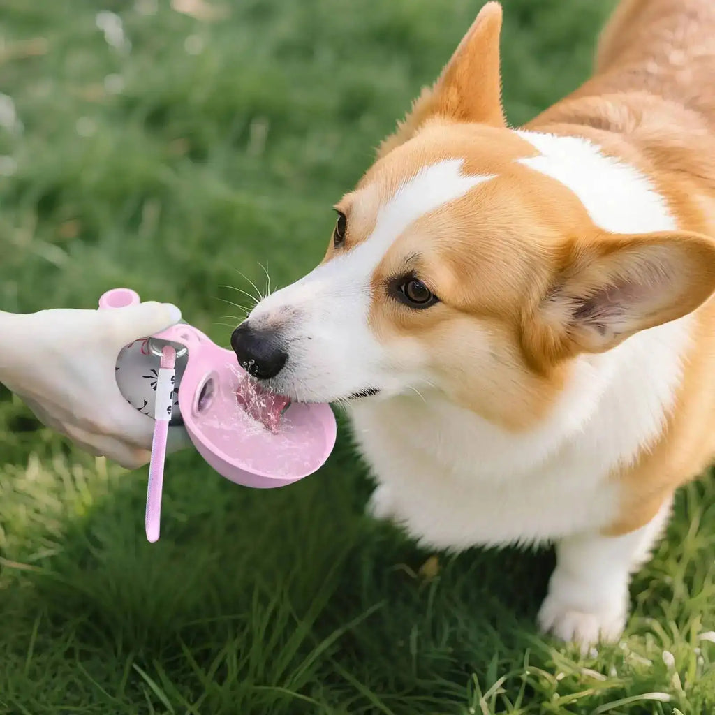 Dogs Drinking Bottle with Silicone Bowl