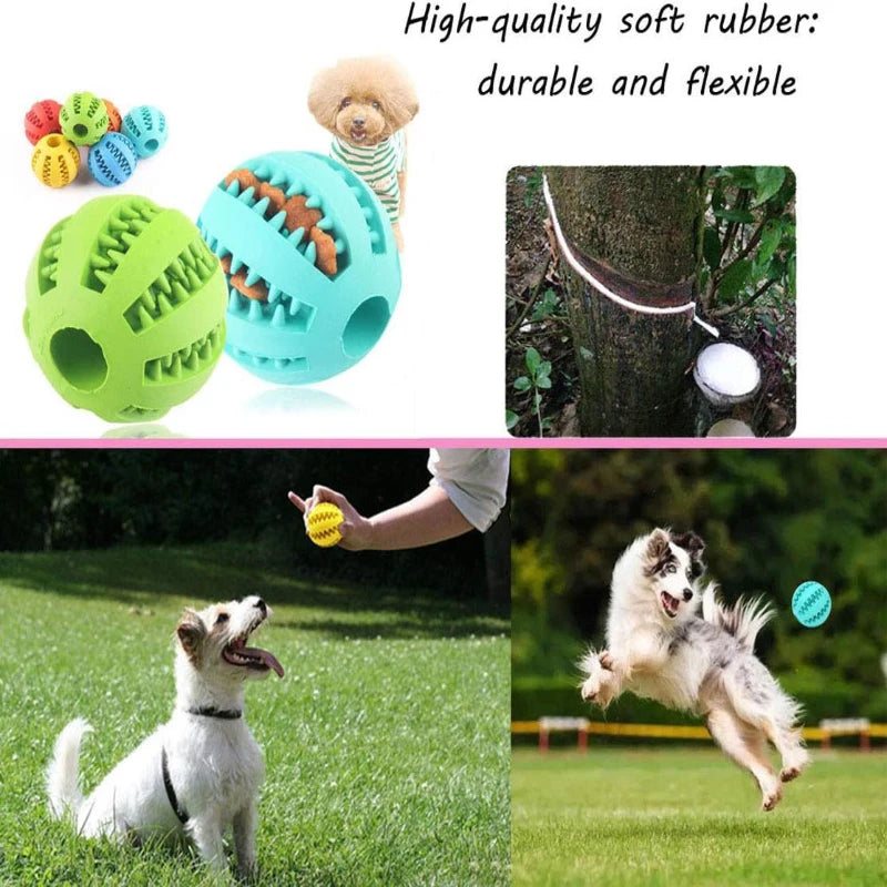 Treat Feeder Silicone Ball