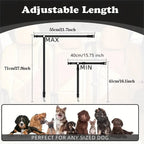 Dog Seat Belt