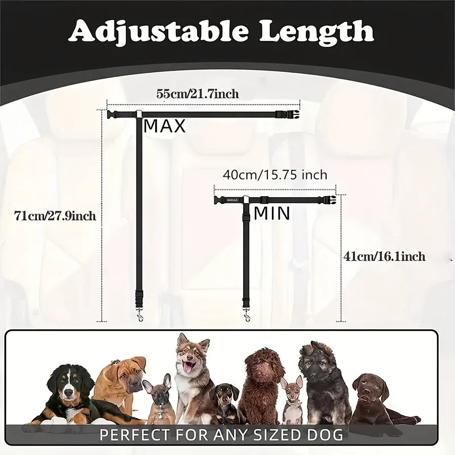 Dog Seat Belt