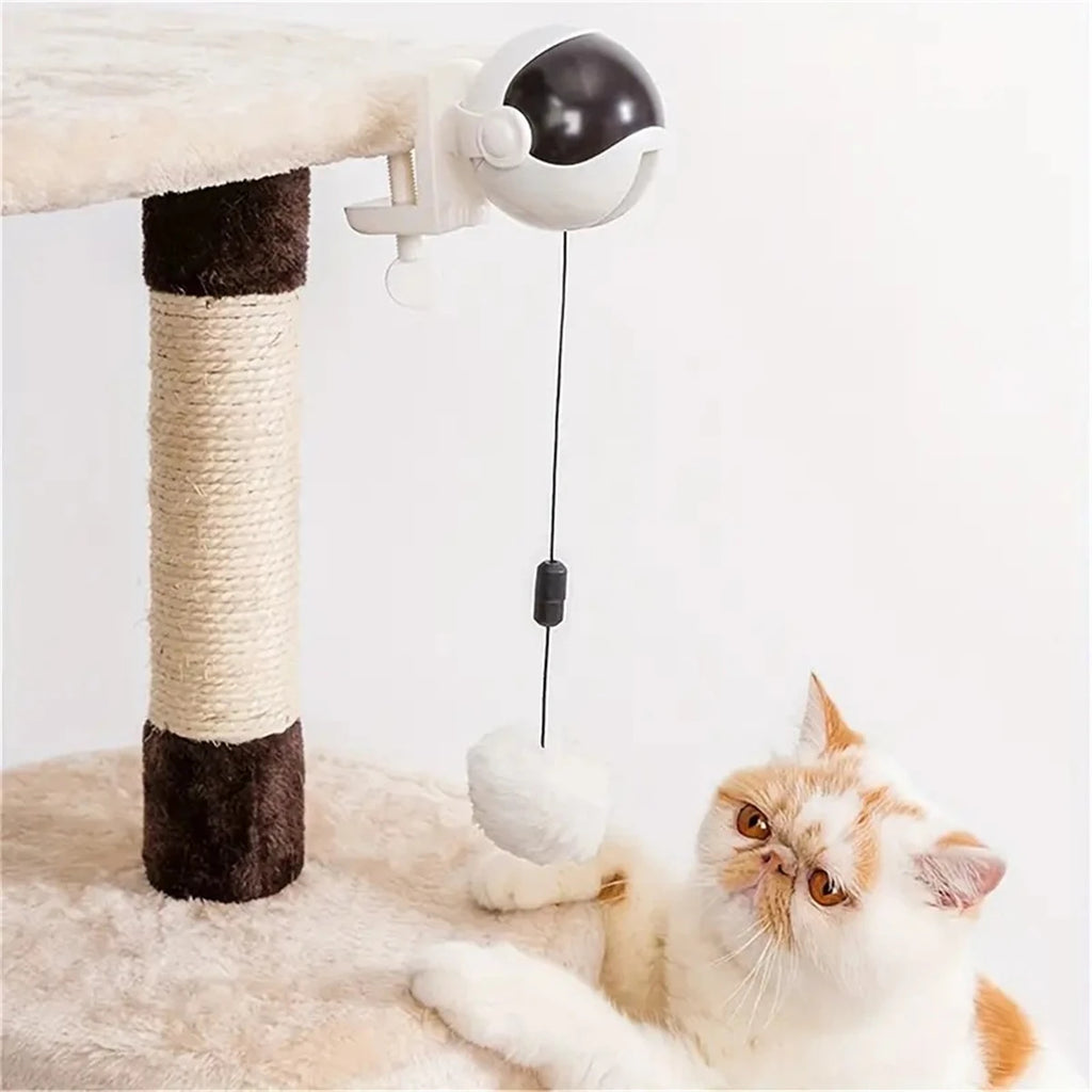 Fun Lifting Ball