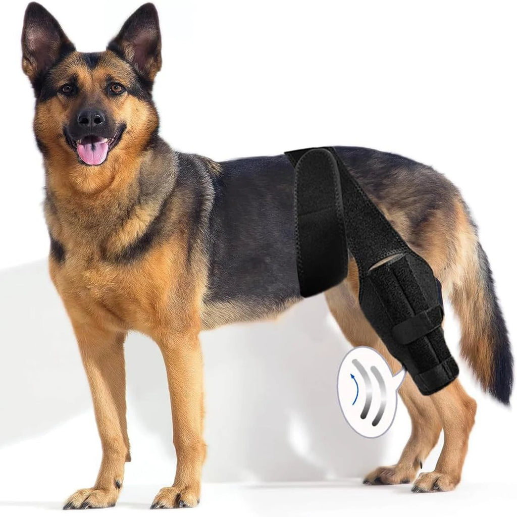 Dog Knee Brace