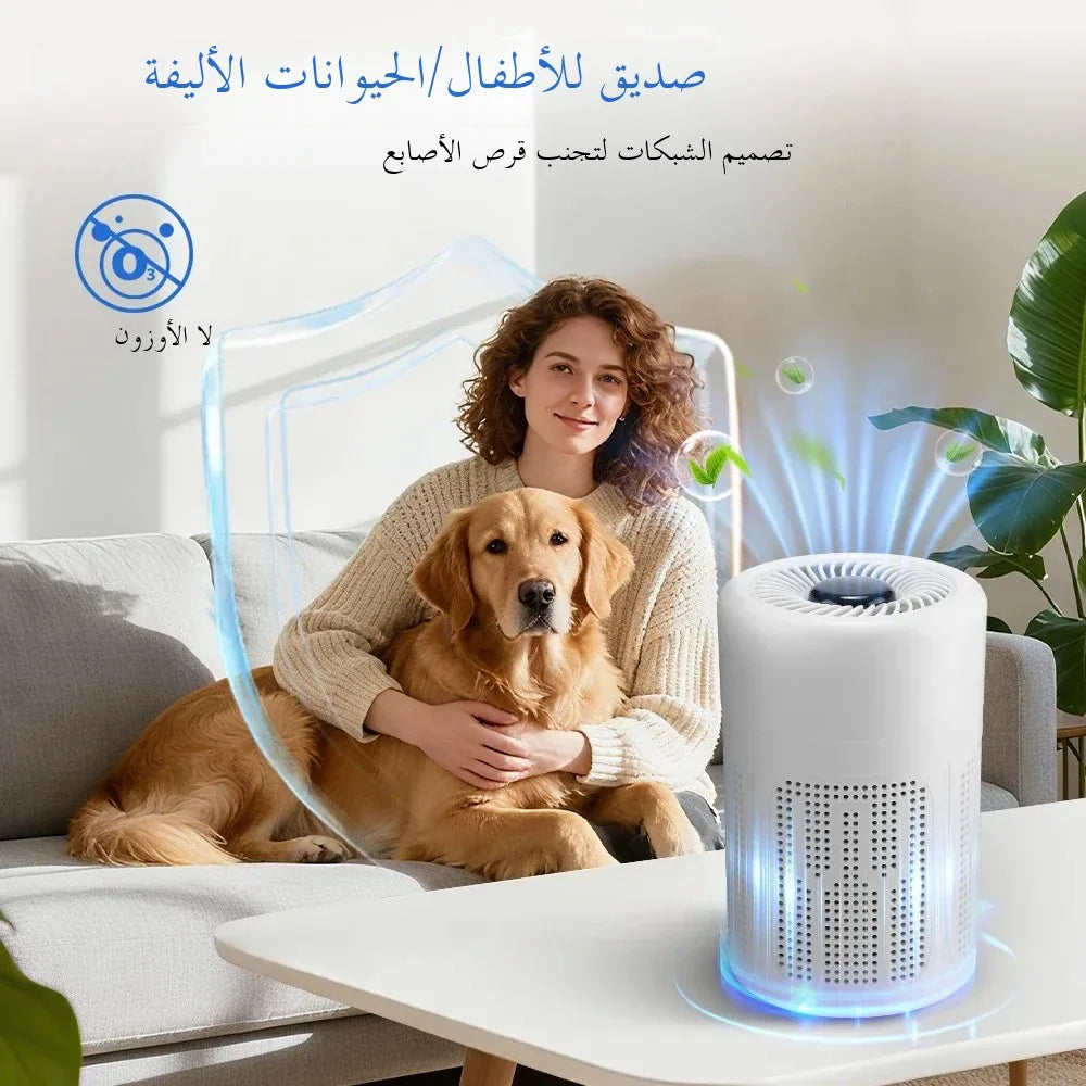 Air Purifier Smoke Odor