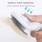 Pet Brush Self Cleaning
