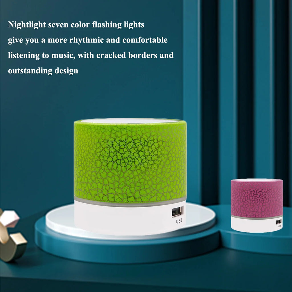 Mini Portable Subwoofer Speaker
