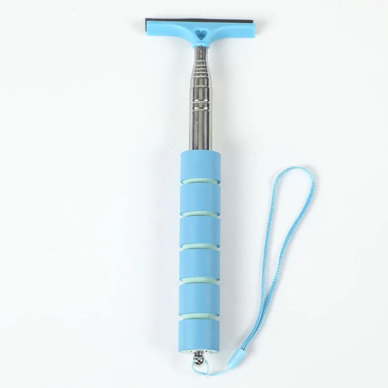 Mirror Wiper
