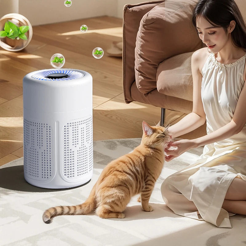 Mini Desktop Air Purifier