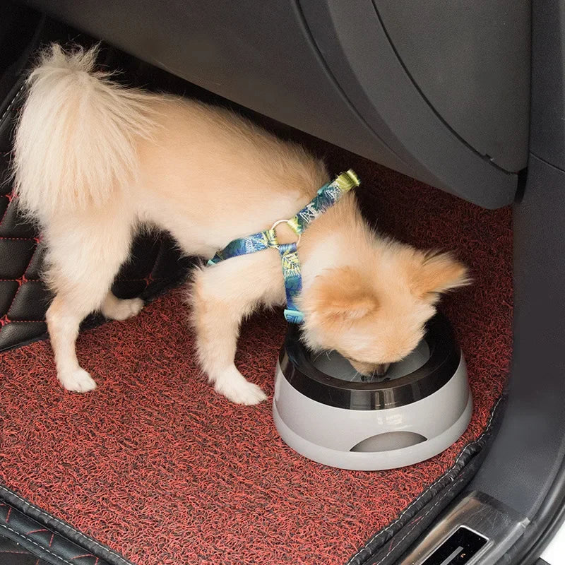 Pet Dog Bowls
